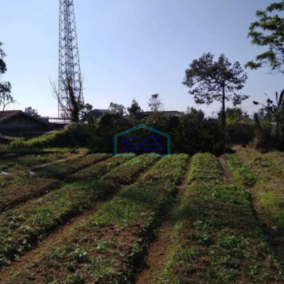 Dijual Tanah Letak Strategis di Pacet Cianjur Luas Tanah 4996m2