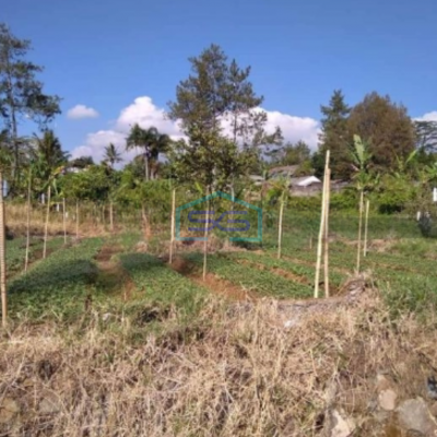 Dijual Tanah Letak Strategis di Pacet Cianjur Luas Tanah 4996m2