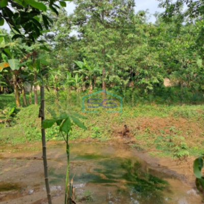 Dijual Tanah di Desa Cibodas Rumpin Bogor Jawa Barat Luas Tanah 3800m2