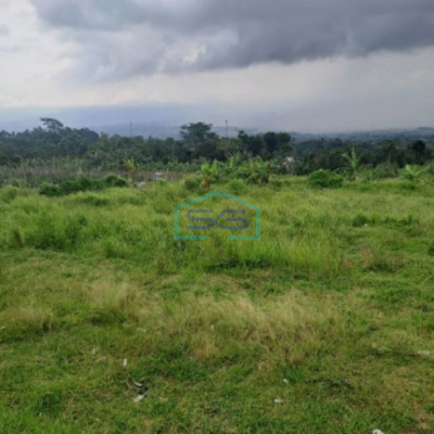 Dijual Tanah Lokasi Di Cijeruk Bogor Jawa Barat LT 20000m2