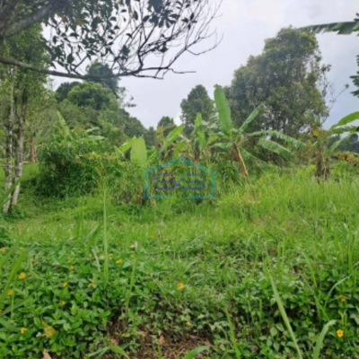 Dijual Tanah Lokasi Di Cijeruk Bogor Jawa Barat LT 20000m2