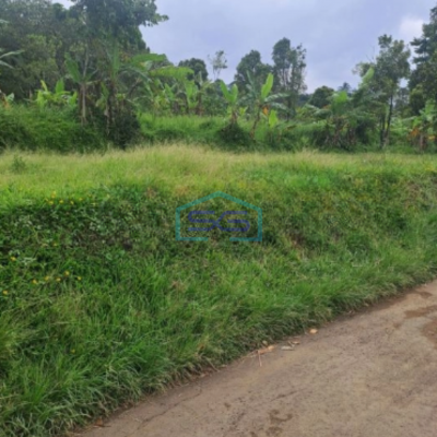 Dijual Tanah Lokasi Di Cijeruk Bogor Jawa Barat LT 20000m2