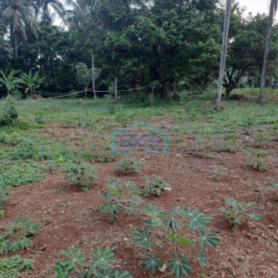 Dijual Tanah Strategis Cibodas Rumpin Bogor Luas Tanah 9000m2