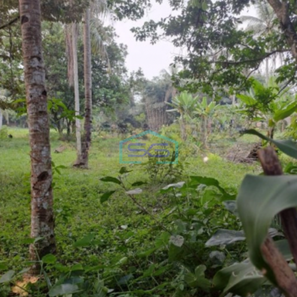 Dijual Tanah Strategis Cibodas Rumpin Bogor Luas Tanah 9000m2-2