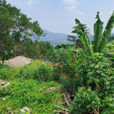 Dijual Tanah di Jalan Bukit Angsana Hijau Sentul Bojongkoneng Bogor