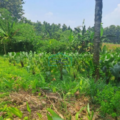 Dijual Tanah Di Daerah Kemang Bogor SHM Lokasi Bebas Banjir