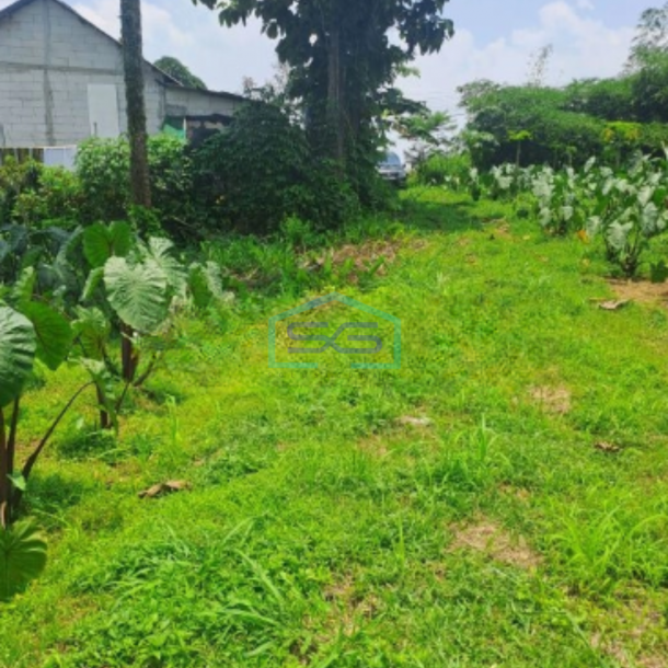 Dijual Tanah Di Daerah Kemang Bogor SHM Lokasi Bebas Banjir-1