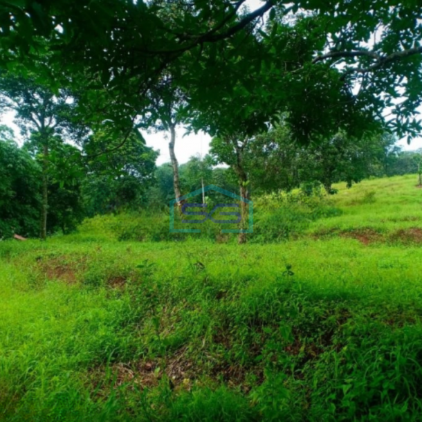 Dijual Tanah di Desa Hambalang Sentul Citreureup Bogor LT 10000m2-2