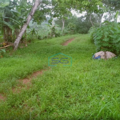 Dijual Tanah di Desa Hambalang Sentul Citreureup Bogor LT 10000m2