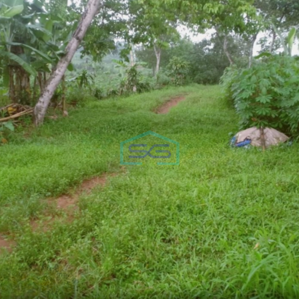 Dijual Tanah di Desa Hambalang Sentul Citreureup Bogor LT 10000m2-1