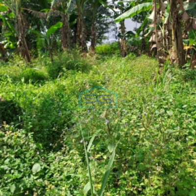 Dijual Tanah Di Pinggir Jalan Sentul City Bogor Luas Tanah 15000m2