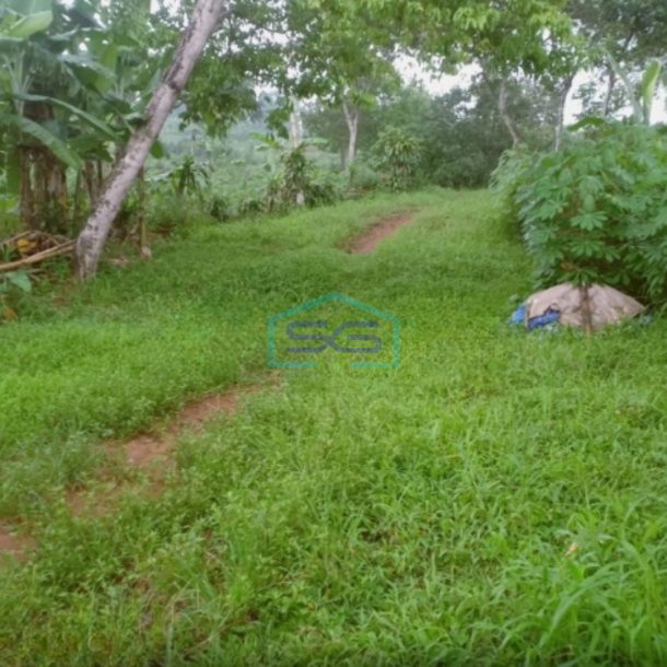 Dijual Tanah di Pingir Jalan Raya Provinsi Lewiliang Rumpin Bogor Luas Tanah 50000m2-1