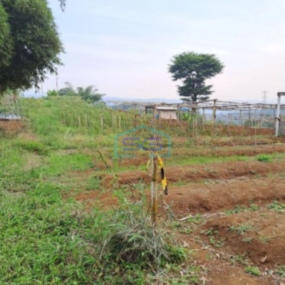 Dijual Tanah di Desa Gunung Gelis Sukaraja Bogor Luas Tanah 25000m2