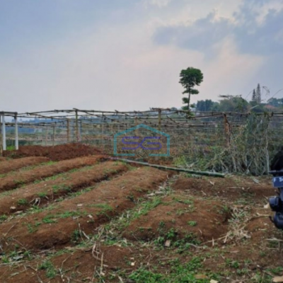 Dijual Tanah di Desa Gunung Gelis Sukaraja Bogor Luas Tanah 25000m2