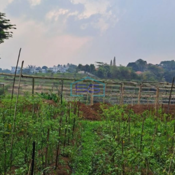 Dijual Tanah di Desa Gunung Gelis Sukaraja Bogor Luas Tanah 25000m2-1