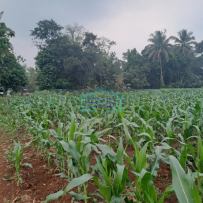 Dijual Tanah Di Kemang Bogor Luas Tanah 12000m2