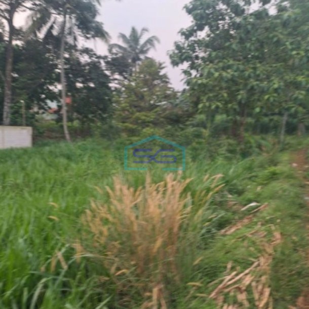 Dijual Tanah Di Kemang Bogor Luas Tanah 12000m2-1
