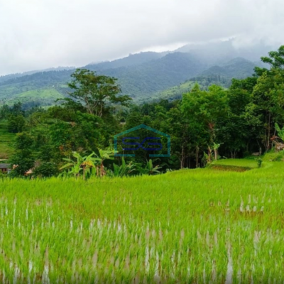 Dijual Tanah di Daerah Cidahu Sukabumi Luas 7000m2