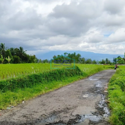 Dijual Tanah di Daerah Cidahu Sukabumi Luas 7000m2