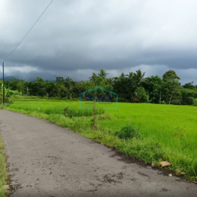 Dijual Tanah di Daerah Cidahu Sukabumi Luas 7000m2