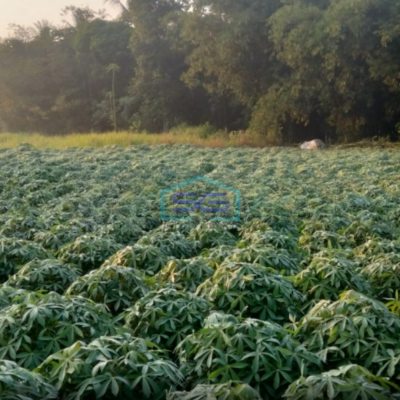 Dijual Tanah Lokasi di Mekarsari Rumpin Bogor Luas Tanah 2800m2