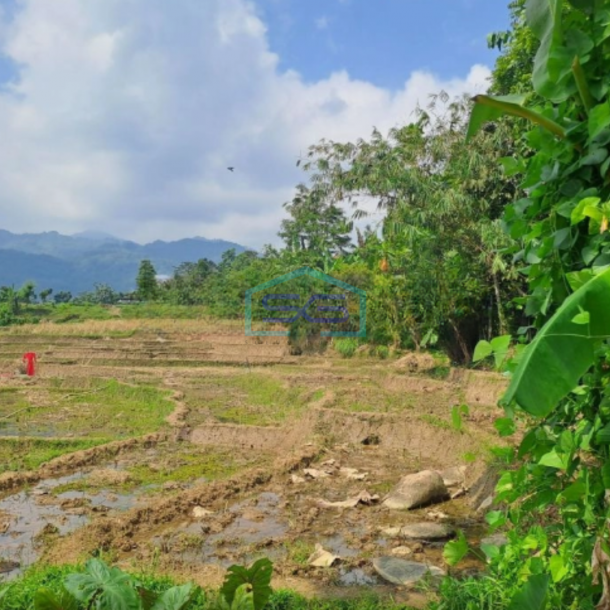 Dijual Tanah Seluas 12000m2 di Babakan Madang Bogor-2