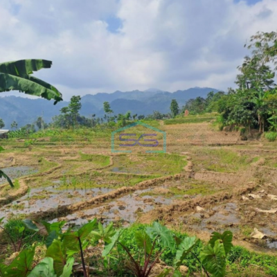 Dijual Tanah Seluas 12000m2 di Babakan Madang Bogor