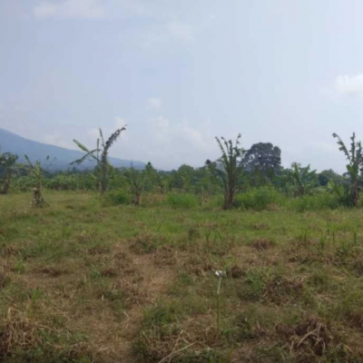 Dijual Tanah di Jalan Raya Cigombong Bogor Luas Tanah 45000m2