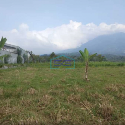 Dijual Tanah di Jalan Raya Cigombong Bogor Luas Tanah 45000m2