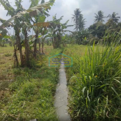 Dijual Tanah di Jalan Raya Cigombong Bogor Luas Tanah 45000m2