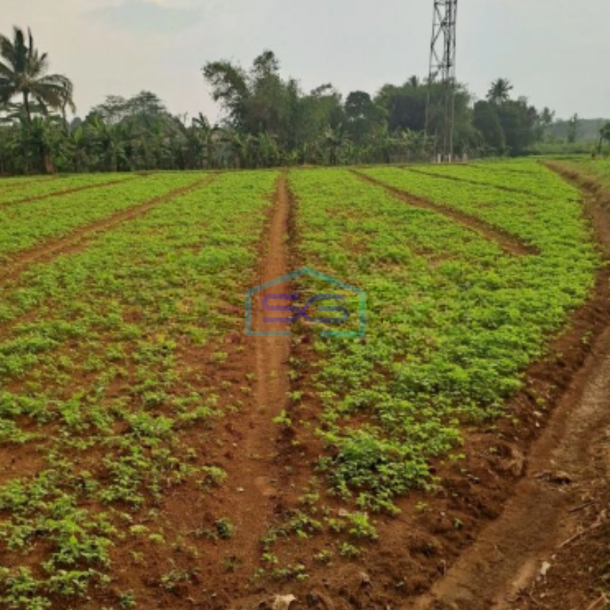 Dijual Tanah Di Bojong Kopasus Kemang Bogor Luas 4500m2-3