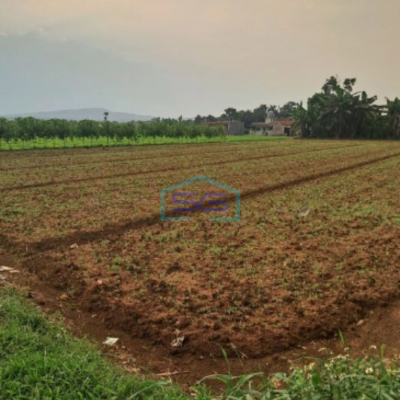 Dijual Tanah Di Bojong Kopasus Kemang Bogor Luas 4500m2