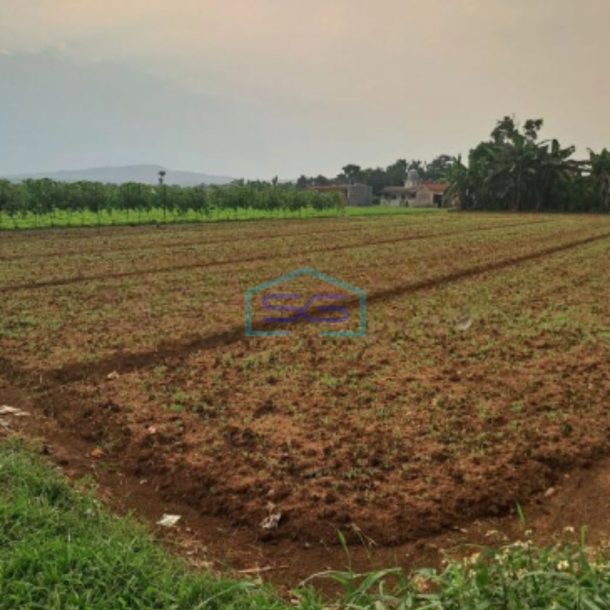 Dijual Tanah Di Bojong Kopasus Kemang Bogor Luas 4500m2-2