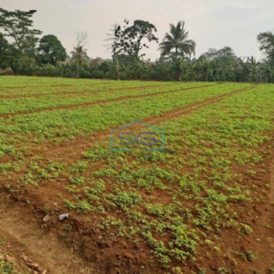 Dijual Tanah Di Bojong Kopasus Kemang Bogor Luas 4500m2