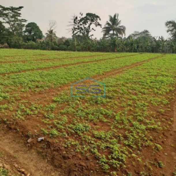 Dijual Tanah Di Bojong Kopasus Kemang Bogor Luas 4500m2-1