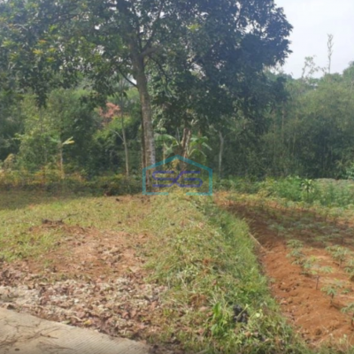 Dijual Tanah Jalan Pasir Angin Sumarecon Sukarja Bogor LT 1000m2