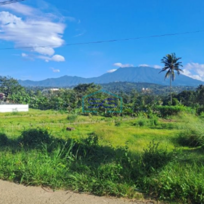 Dijual Tanah Desa Cipayung Megamendung Bogor Jawa Barat Cocok Untuk Usaha