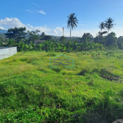 Dijual Tanah Desa Cipayung Megamendung Bogor Jawa Barat Cocok Untuk Usaha