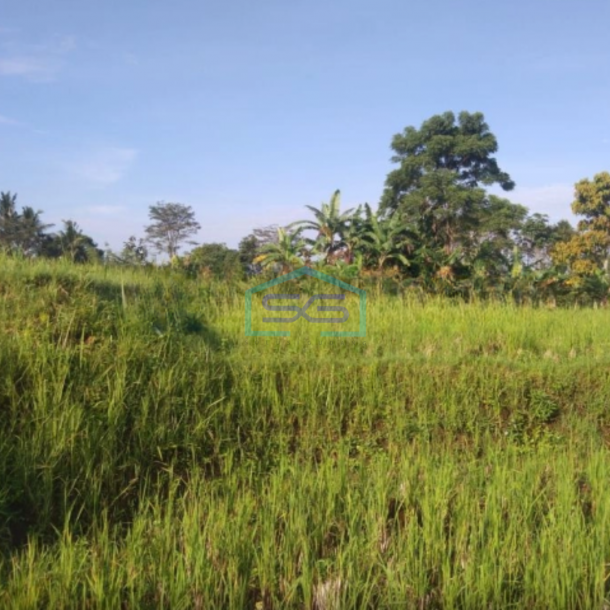 Dijual Tanah Strategis di Desa Pancawati Caringin Bogor LT 40000m2 Cocok Untuk Usaha-2