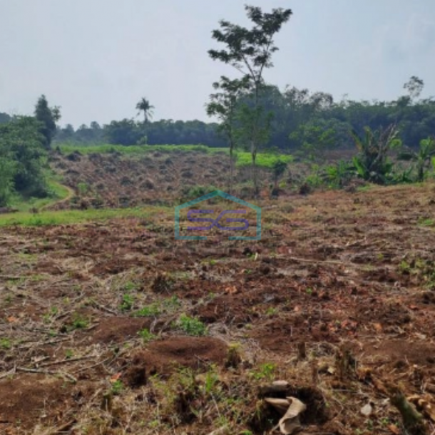 Dijual Tanah Letak Strategis di Rumpin Bogor LT 20000m2-4