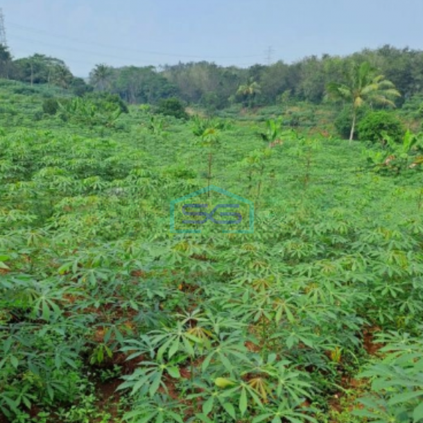 Dijual Tanah di Cibodas Rumpin Bogor Luas Tanah 6000m2-1