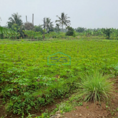 Dijual Tanah Lokasi di Pinggir Jalan Raya Ciseeng Bogor Luas Tanah 2000m2