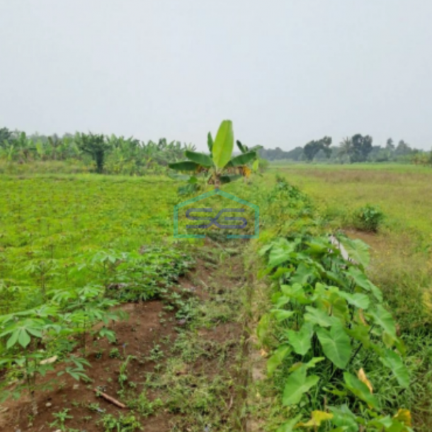 Dijual Tanah Lokasi di Pinggir Jalan Raya Ciseeng Bogor Luas Tanah 2000m2-2