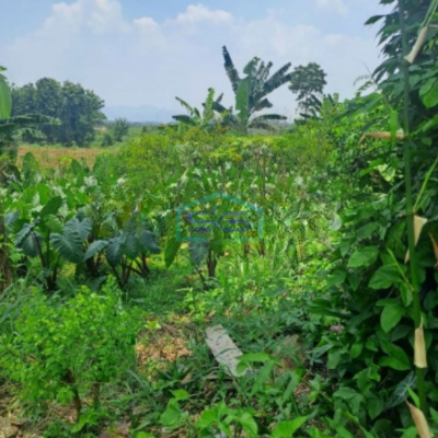 Dijual Tanah di Area Rumpin Bogor Luas Tanah 1000m2 Depan Jalan Raya