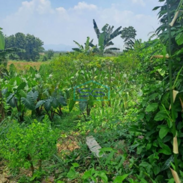 Dijual Tanah di Area Rumpin Bogor Luas Tanah 1000m2 Depan Jalan Raya-2