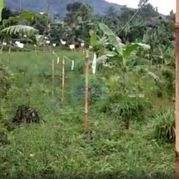 Dijual Tanah Desa Jogjogan Cidahu Kab Bogor Luas Tanah 47000m2-2