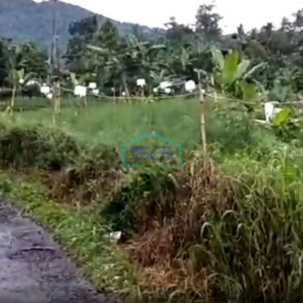 Dijual Tanah Desa Jogjogan Cidahu Kab Bogor Luas Tanah 47000m2-1