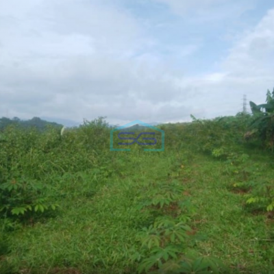 Dijual Tanah di Cibadak Sukabumi Luas Tanah 10 Hektar