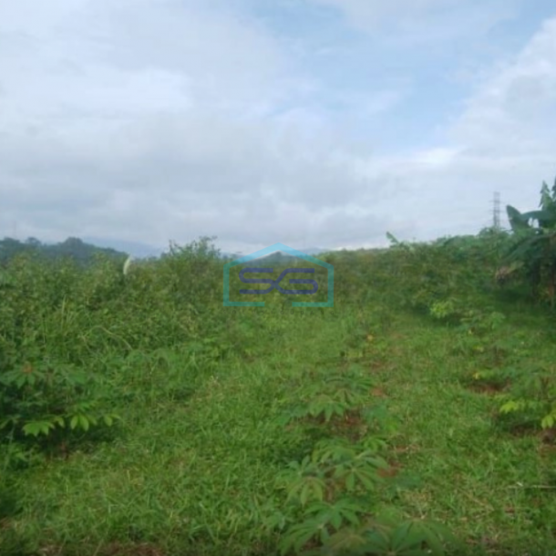 Dijual Tanah di Cibadak Sukabumi Luas Tanah 10 Hektar-3