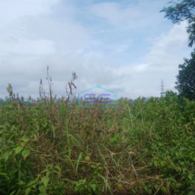 Dijual Tanah di Cibadak Sukabumi Luas Tanah 10 Hektar